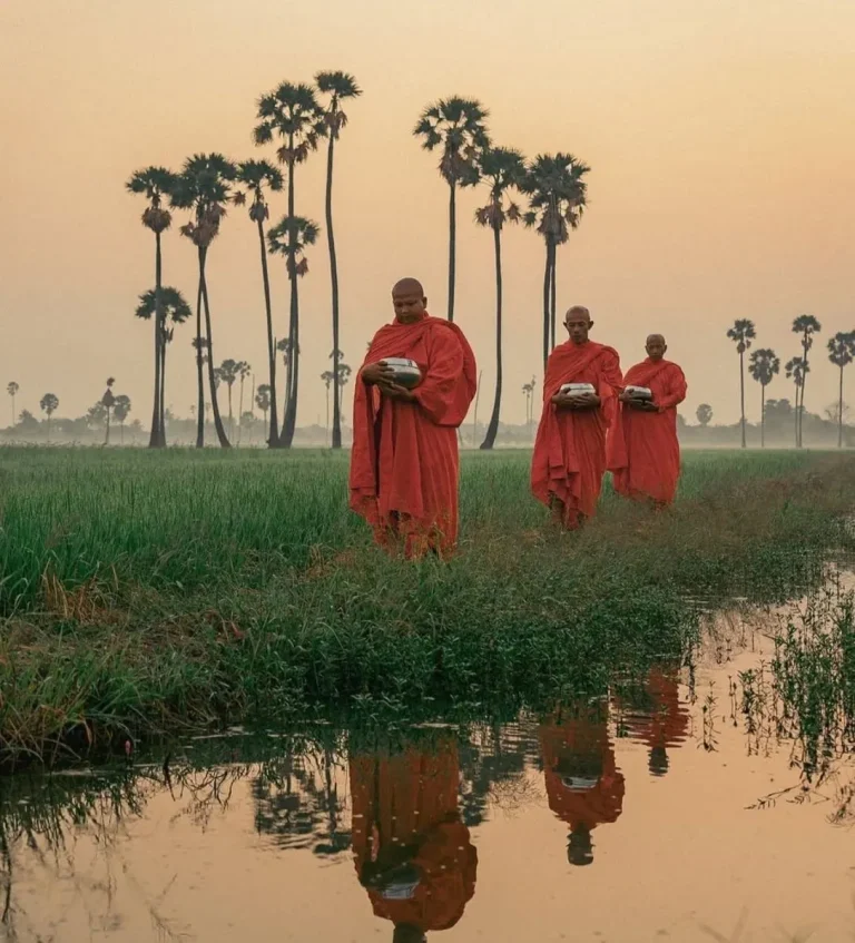 Monjes caminando entre arrozales al amanecer